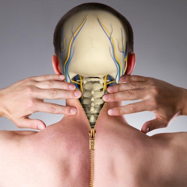 Occipite e nervi cervicali cerniera atlanto-occipitale
