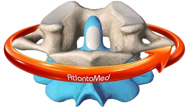 Le prime 2 vertebre cervicali: Atlante ed Epistrofeo
