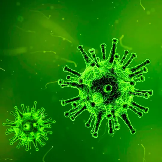 Das Virus und die saisonale Grippe